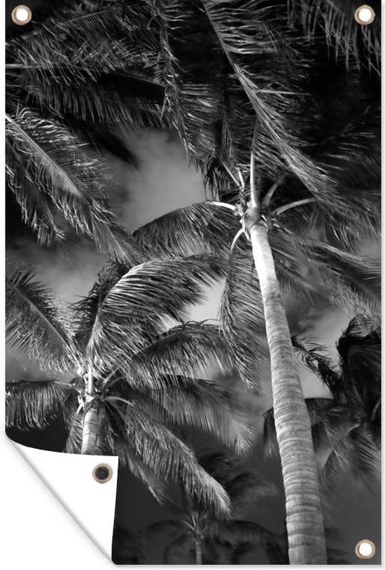 Muurdecoratie Palmbomen met harde wind - zwart wit - 120x180 cm - Tuinposter - Tuindoek - Buitenposter