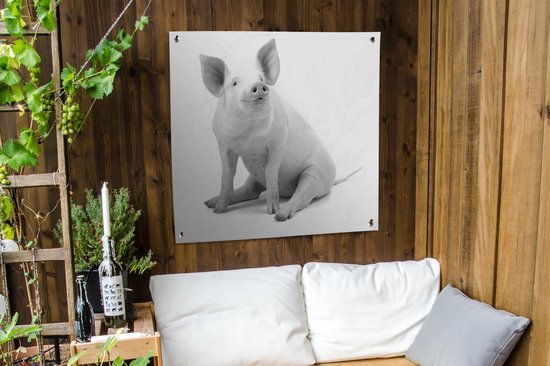Tissu de jardin Porcinet pour fond blanc - noir et blanc - 100x100 cm