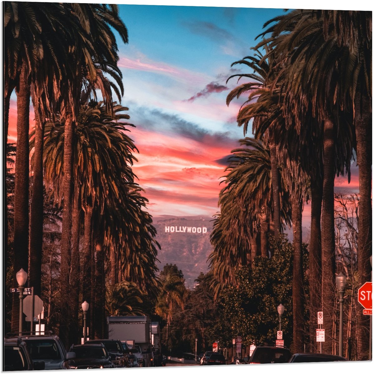KuijsFotoprint Dibond - Straat met Palmbomen - 80x80cm Foto op Aluminium (Wanddecoratie van metaal) Blauw