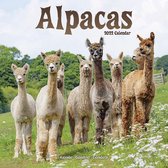 Alpacas Kalender 2022