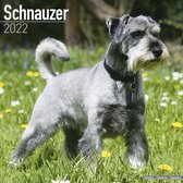 Schnauzers Kalender 2022