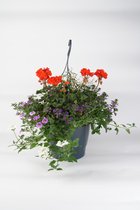 Hangpot Sophie - met ingebouwd waterreservoir - 45 cm