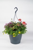 Hangpot Fleur - met ingebouwd waterreservoir - 45 cm