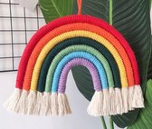 Akyol - Macrame plantenhanger - Macrame touw - Macrame wandkleed - Regenboog - Macrame koord - 20 cm