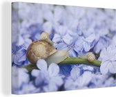 Toile Peinture Escargot - Fleurs - Animaux - 30x20 cm - Décoration murale