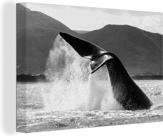 Canvas Schilderij Walvis - Water - Zwart - Wit - Wanddecoratie