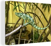 Toile Peinture Reptile - Branche - Plante - 120x90 cm - Décoration murale