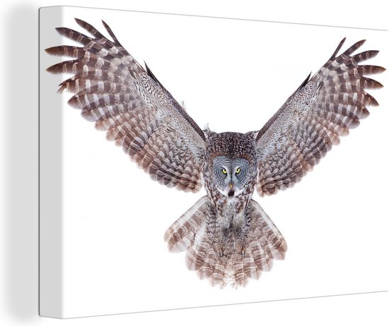 Flying Owl Canvas 30x20 cm - petit - Tirage photo sur toile (Décoration murale salon / chambre) / Peintures sur toile Animaux