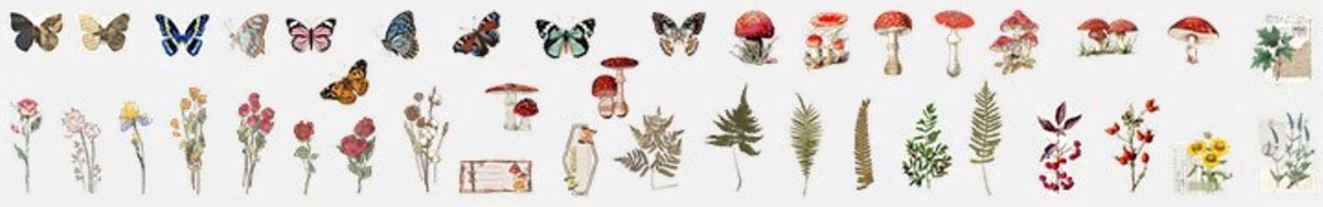 Deco Sticker- & Papierset - Nature - 200 stuks - Bullet Journal Stickers - Planner Agenda Stickers - Scrapbook stickers /papier -  Hobbypapier - Stickers en hobbypapier voor volwassenen en kinderen — afbeelding 2