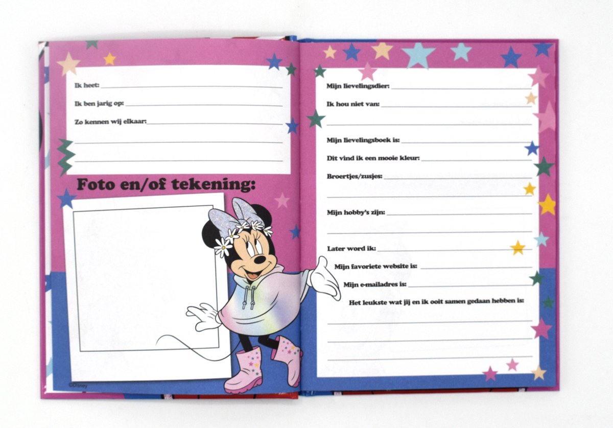 Vriendenboek Minnie Mouse — afbeelding 11
