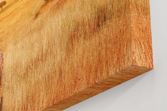 Artaza Toile Peinture Deux Girafes Avec Deux Montgolfières Oranje - 120x40 - Groot - Photo sur Toile - Impression sur Toile