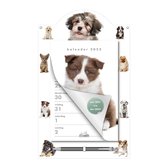 Week Scheurkalender 2022 - HONDEN (21cm x 34cm)