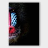 Poster Jungle Chimpanzee LS - Dibond - Meerdere Afmetingen & Prijzen | Wanddecoratie - Interieur - Art - Wonen - Schilderij - Kunst