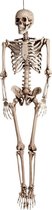 Hangende horror decoratie skelet 160 cm - levensgroot - Halloween thema versiering poppen
