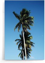 Walljar - Palm Paradijs - Muurdecoratie - Poster