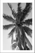 Walljar - Onderzicht Palmboom - Zwart wit poster