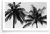 Walljar - Tropical Palms - Zwart wit poster