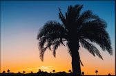 Walljar - Silhouet Palmbomen II - Muurdecoratie - Poster met lijst