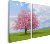 Artaza Canvas Schilderij Tweeluik Roze Sakura Bloesem Boom In Het Groene Veld - 80x60 - Foto Op Canvas - Canvas Print