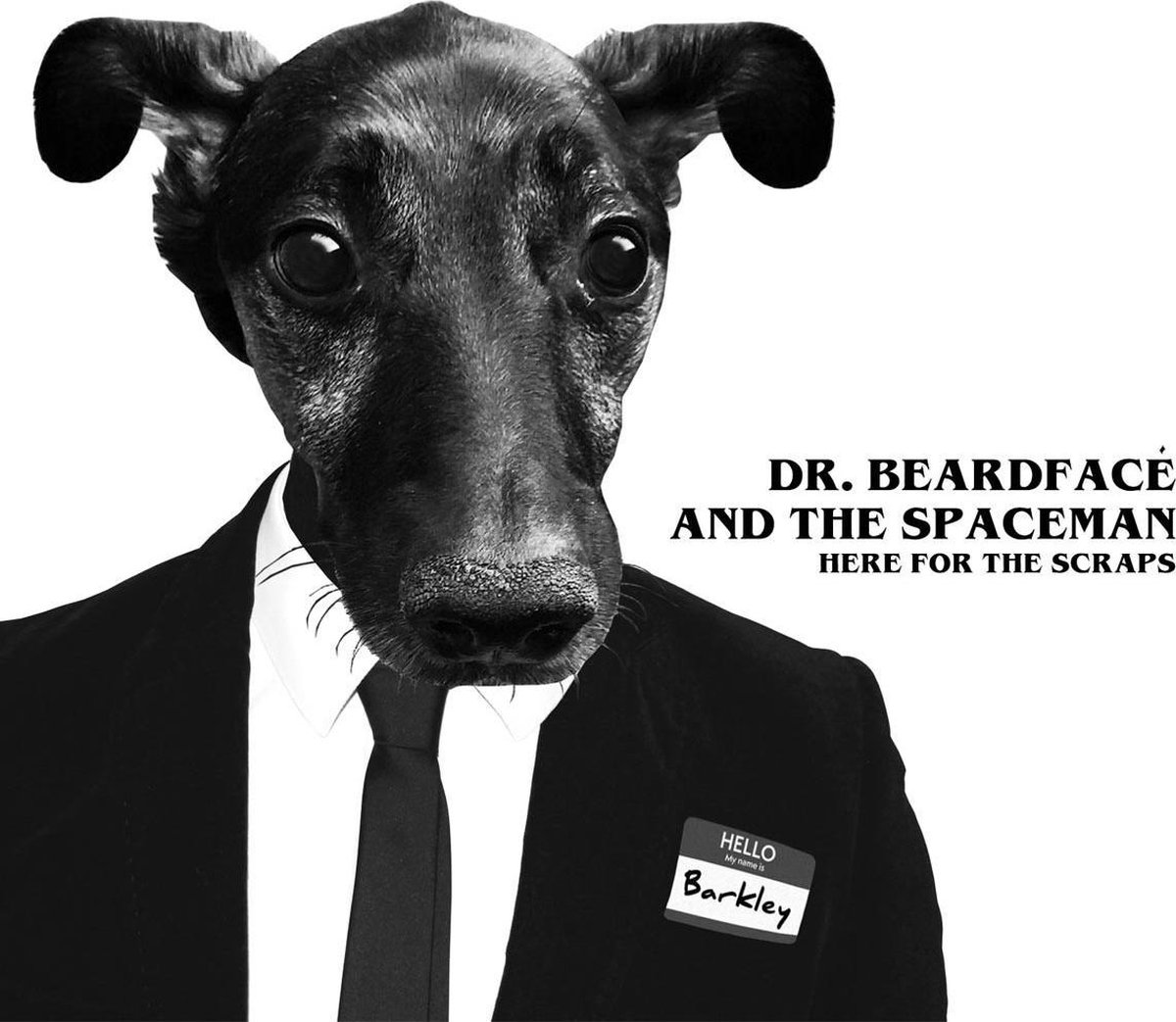 Dr. Beardface And The Space Man - Here For The Scraps (CD)