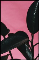Walljar - Rubber Plant Pink II - Muurdecoratie - Poster