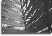 Walljar - Close-up Plant - Muurdecoratie - Plexiglas schilderij