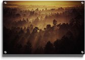 Walljar - Orange Woods - Muurdecoratie - Plexiglas