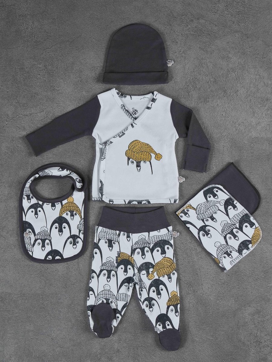 Goedkoopste Ecocotton babyset van biologisch katoen 5-delige - Pingu antraciet