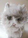 pets 2 cuddle - kat grijs - knuffel - pluche - grijze vacht - glitter ogen - met snorharen 27 cm
