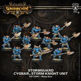 Cygnar Stormguard Storm Knight Unit