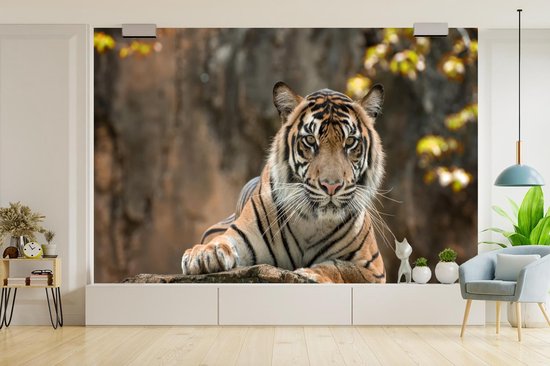 Papier Peint - Papiers Papier peint photo Tigre - Rochers - Feuilles - Largeur 420 cm x Hauteur 280 cm