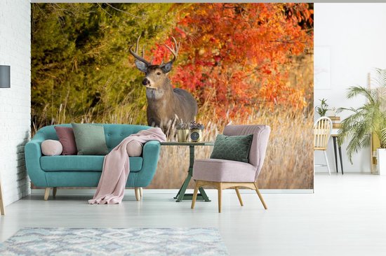 Papier peint - Papier peint photo Cerf - Bois - Forêt - Largeur 390 cm x hauteur 260 cm