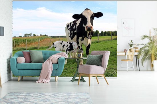 Papier peint - Papier peint photo Vache - Veau - Animaux - Herbe - Largeur 330 cm x Hauteur 240 cm