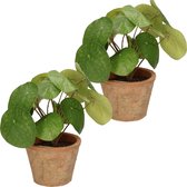 2x stuks Kunstplanten Pannekoekplant groen in pot 25 cm - Kamerplanten groen pilea