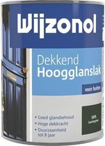 Ministerie Vergevingsgezind ijzer Wijzonol Dekkend Hoogglanslak - 0,75l - 9100 - IJswit | bol.com