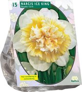 Plantenwinkel Narcissus Ice King bloembollen per 15 stuks