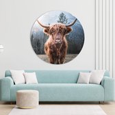 Artcoustiq - Muurcirkel - Scottisch Highlander 3 - 60ø cm