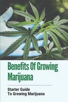 Benefits Of Growing Marijuana: Starter Guide To Growing Marijuana
