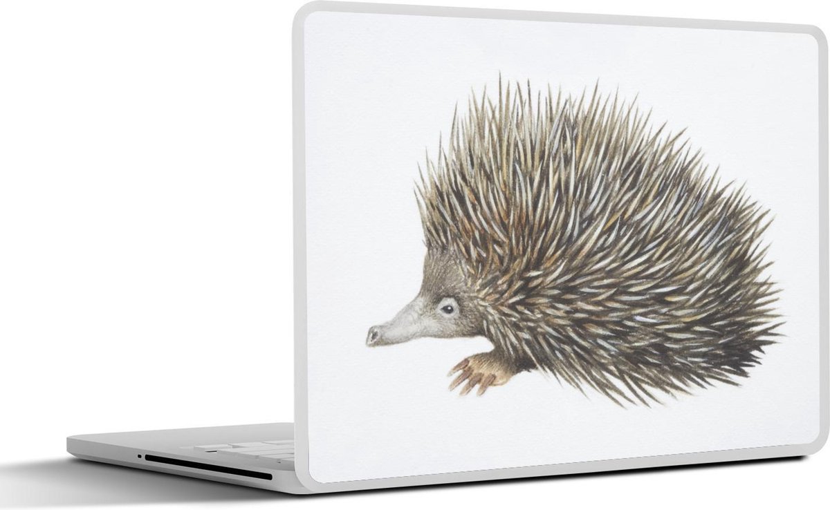 Afbeelding van product SleevesAndCases  Laptop sticker - 14 inch - tekening van een mierenegel voor een witte achtergrond