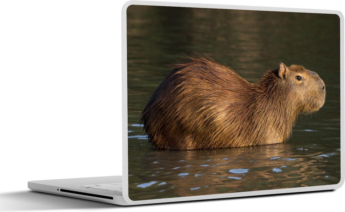 Laptop sticker - 11.6 inch - Een Capibara staat in het water - 30x21cm - Laptopstickers - Laptop skin - Cover