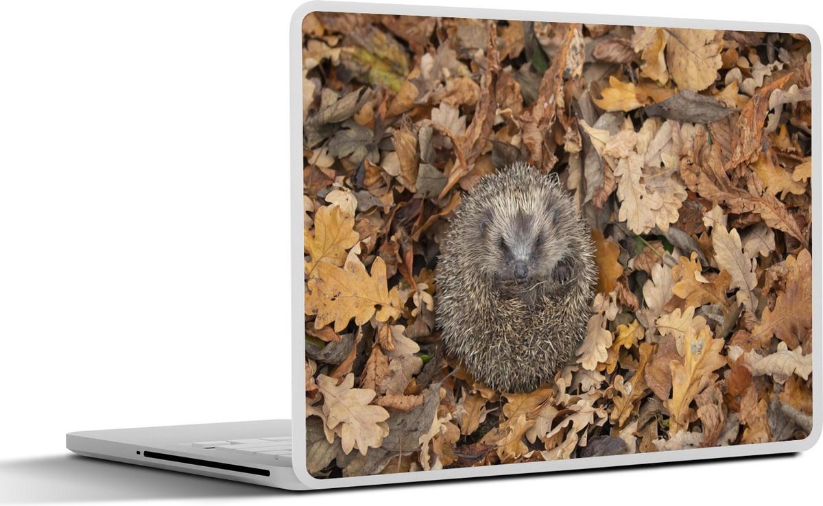 Laptop sticker - 14 inch - Egel opgerold in bladeren - 32x5x23x5cm - Laptopstickers - Laptop skin - Cover