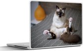Laptop sticker - 14 inch - Poes - Vacht - Bruin - 32x5x23x5cm - Laptopstickers - Laptop skin - Cover
