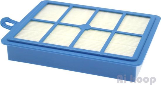 2X HEPA Allergie Filter Voor Philips/Electrolux/AEG/Tornado Stofzuiger ...