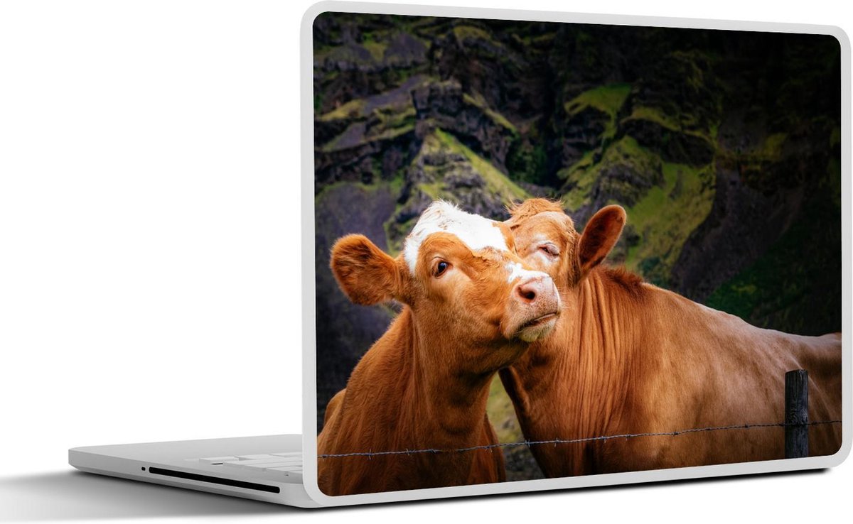 Afbeelding van product SleevesAndCases  Laptop sticker - 15.6 inch - Koeien - Hek - Liefde