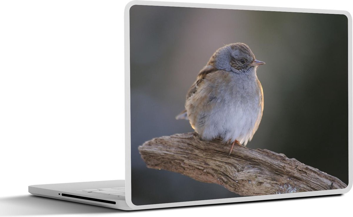 Afbeelding van product SleevesAndCases  Laptop sticker - 17.3 inch - Heggenmus in het licht op een houten tak