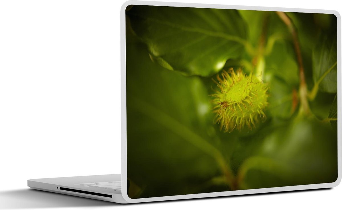 Afbeelding van product SleevesAndCases  Laptop sticker - 17.3 inch - Beukennootje aan de boom tussen de groene bladeren