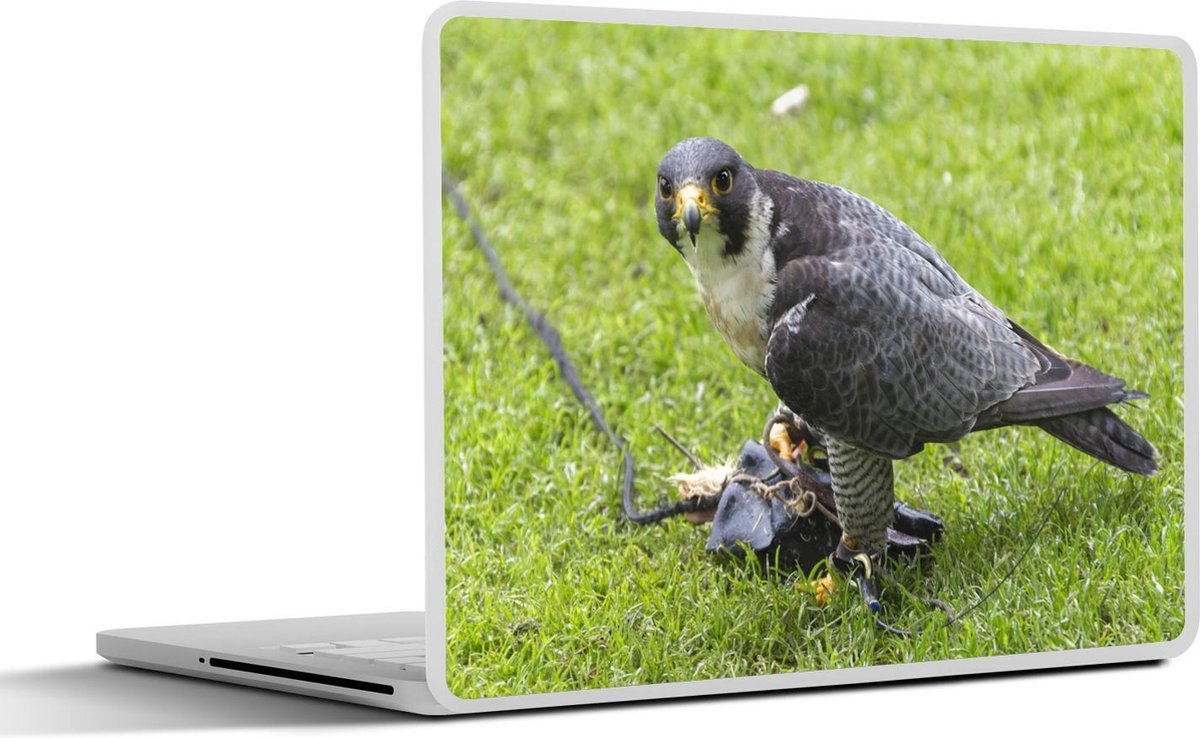 Afbeelding van product SleevesAndCases  Laptop sticker - 13.3 inch - Sperwer in een grasveld