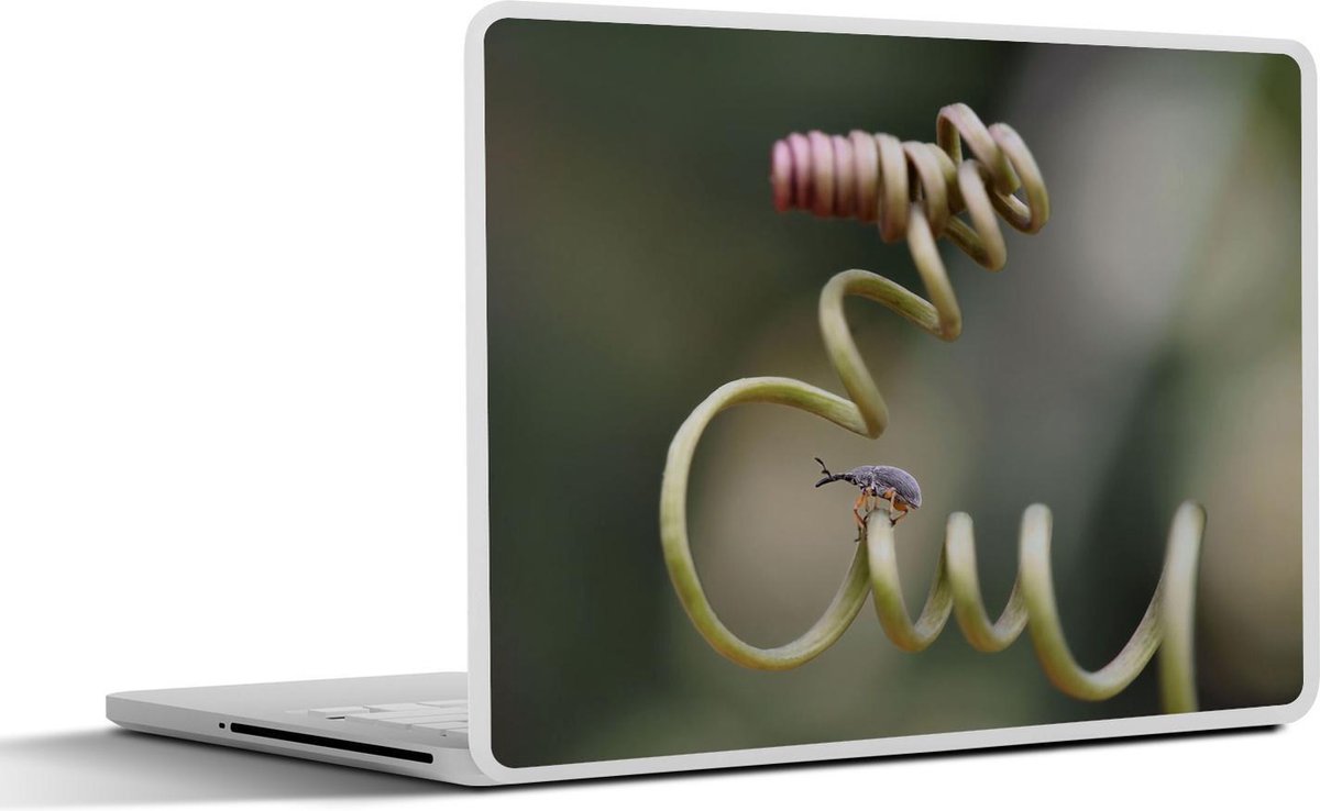 Afbeelding van product SleevesAndCases  Laptop sticker - 10.1 inch - Kever op krullerige plant