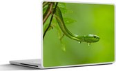 Laptop sticker - 12.3 inch - Groene slang van dichtbij - 30x22cm - Laptopstickers - Laptop skin - Cover