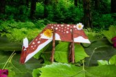Knutselpakket thema Natuur | Knutselen | DIY | Knutselbox 4+ jaar
